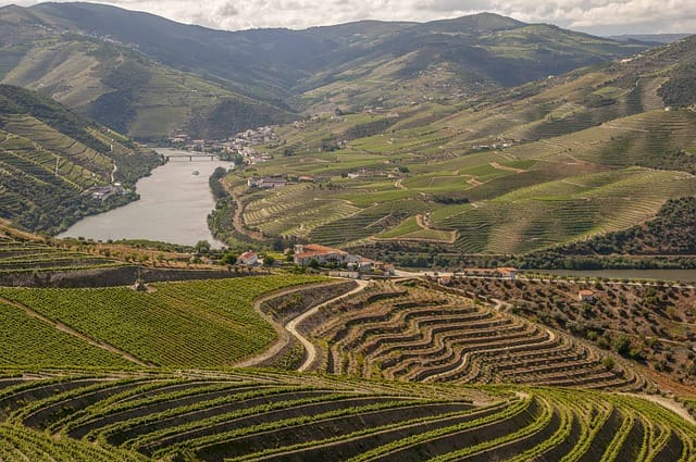 Valle del Douro in Portogallo
